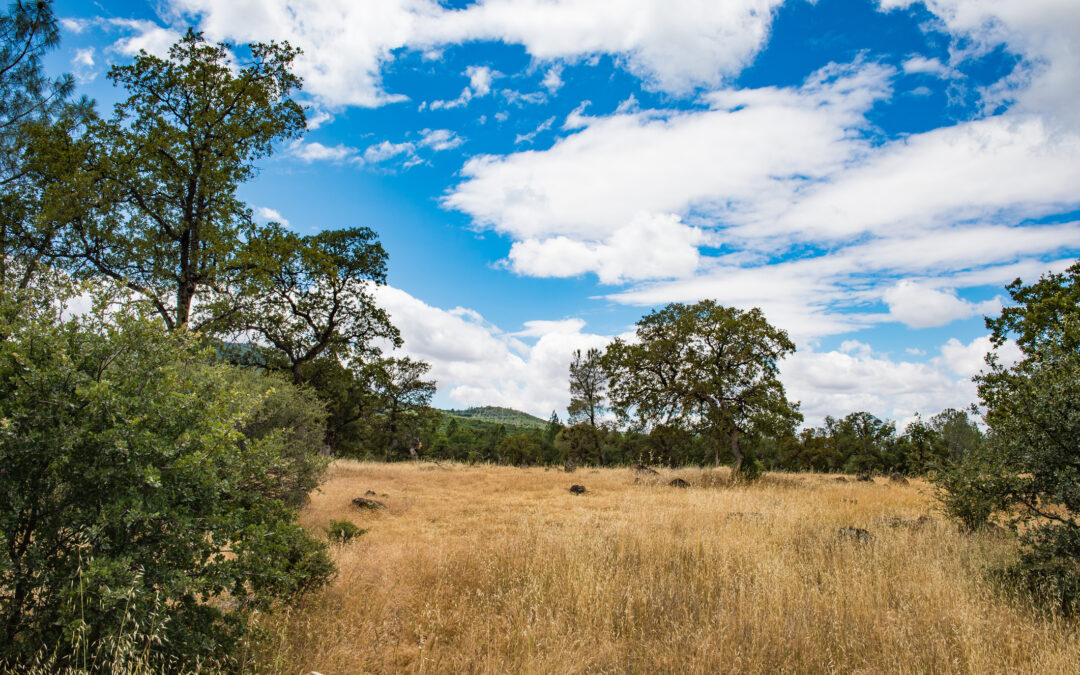 Why Shasta County Acreage is Becoming Northern California’s Best Investment