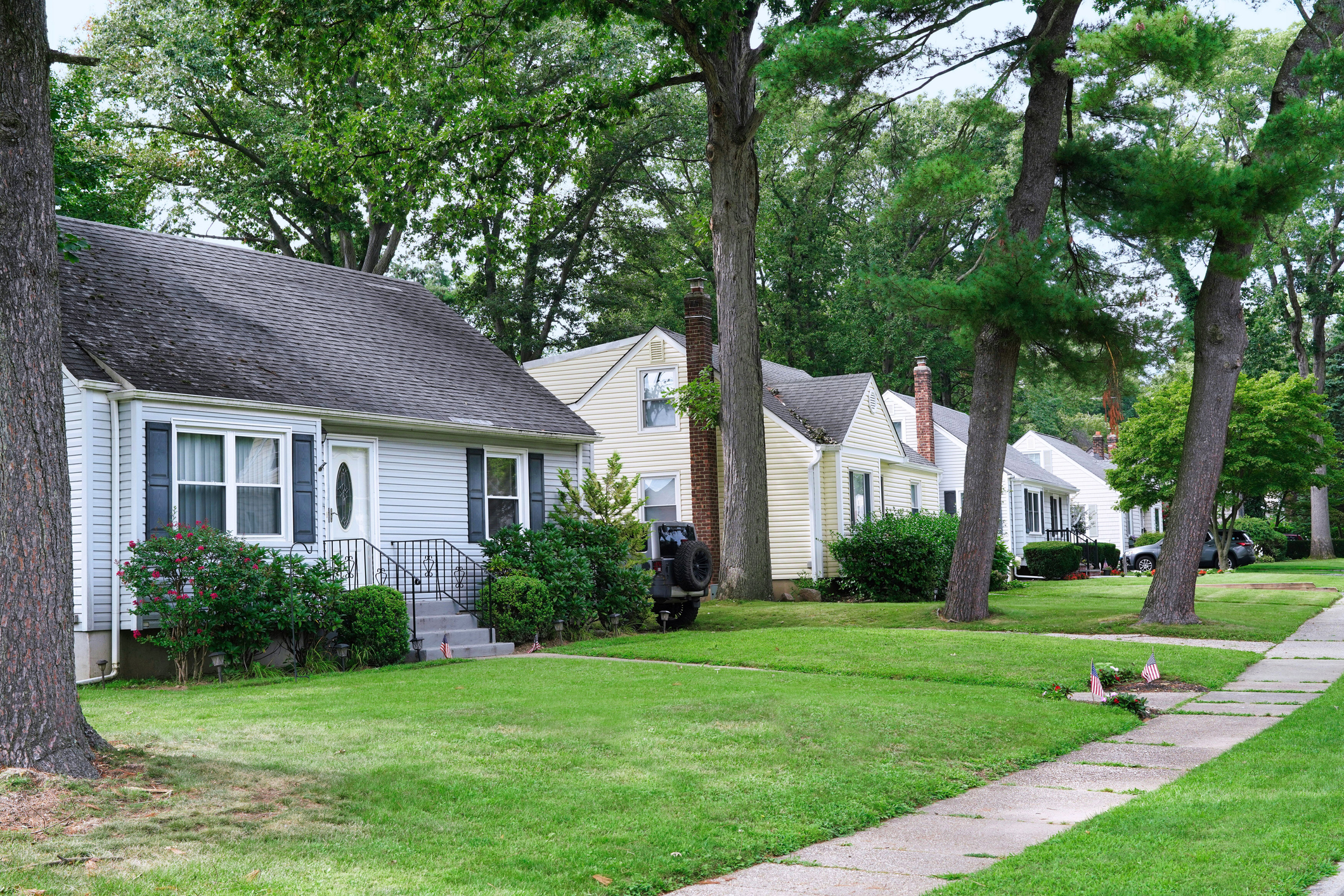 Row of middle class houses in tree lined suburb